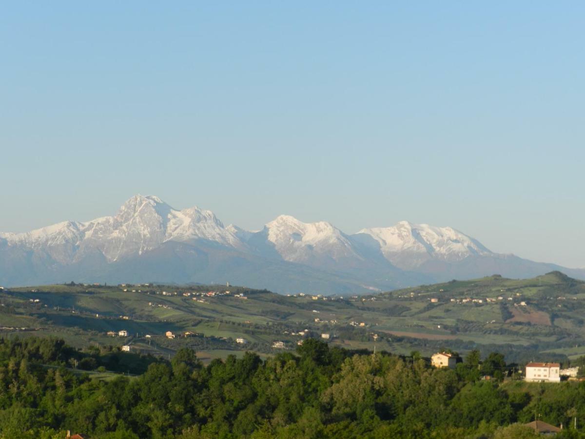 Bed and Breakfast Il Gruccione Sant'Omero Екстер'єр фото
